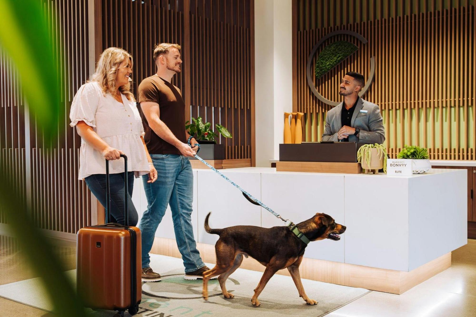 Element Reno Experience District Hotell Eksteriør bilde